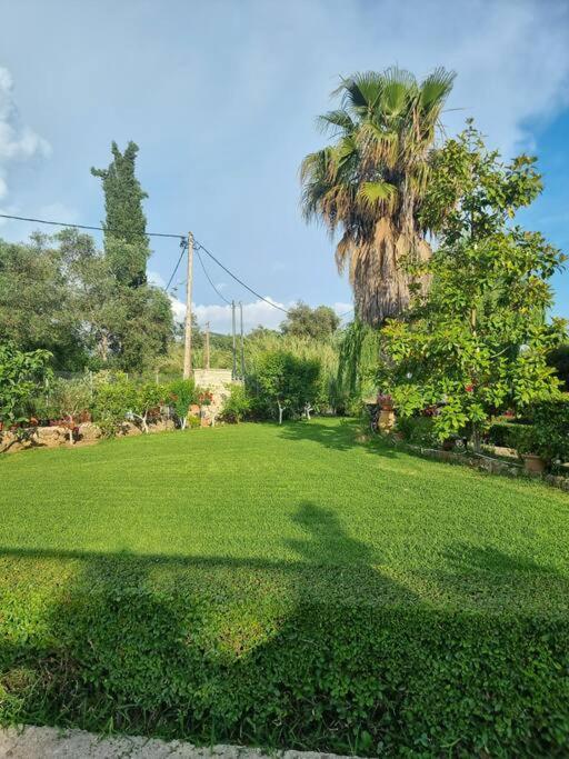 Luxvilla Agioi Deka  Exteriér fotografie